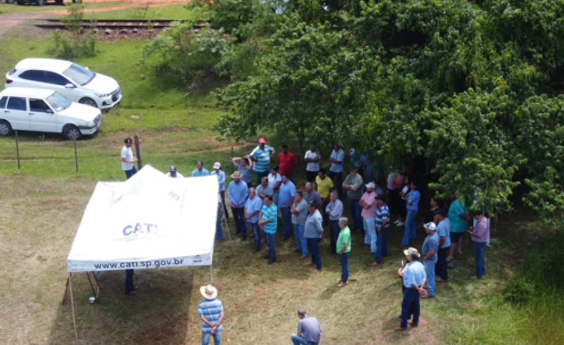 Programa Milho + SP: Inovação e Sustentabilidade na Agricultura