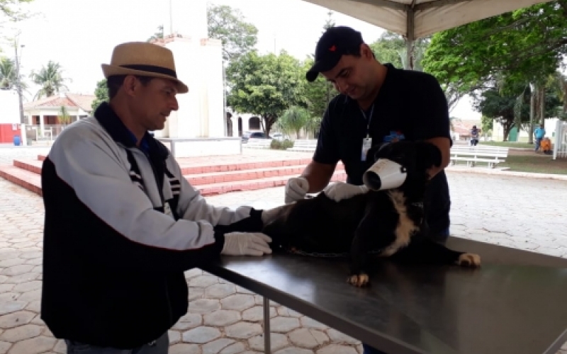 Campanha de Vacinação contra a Raiva em Cães e Gatos 2018