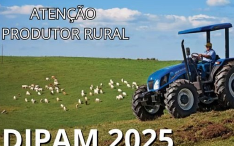 Declaração DIPAM-A 2025