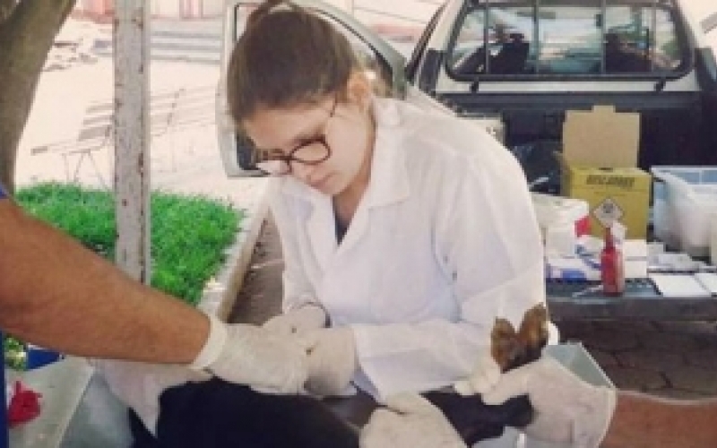 Vacinação atirrábica é realizada em Piquerobi