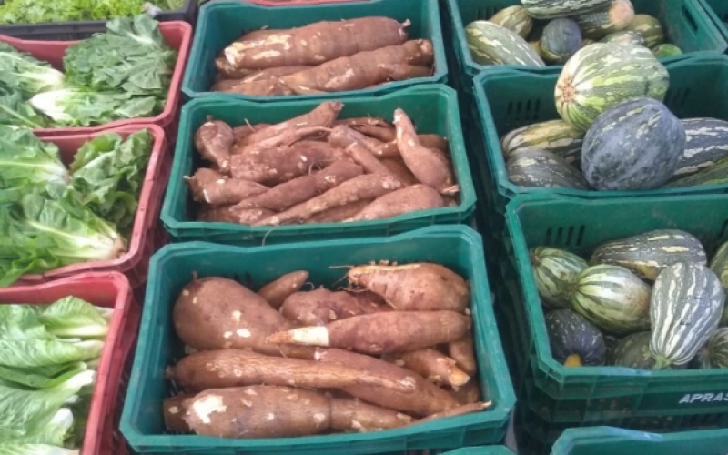 Prefeitura realiza distribuição de alimentos do PAA para a população de Piquerobi